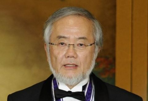 Japanese Yoshinori Ohsumi Wins 2016 Nobel Prize in Medicine